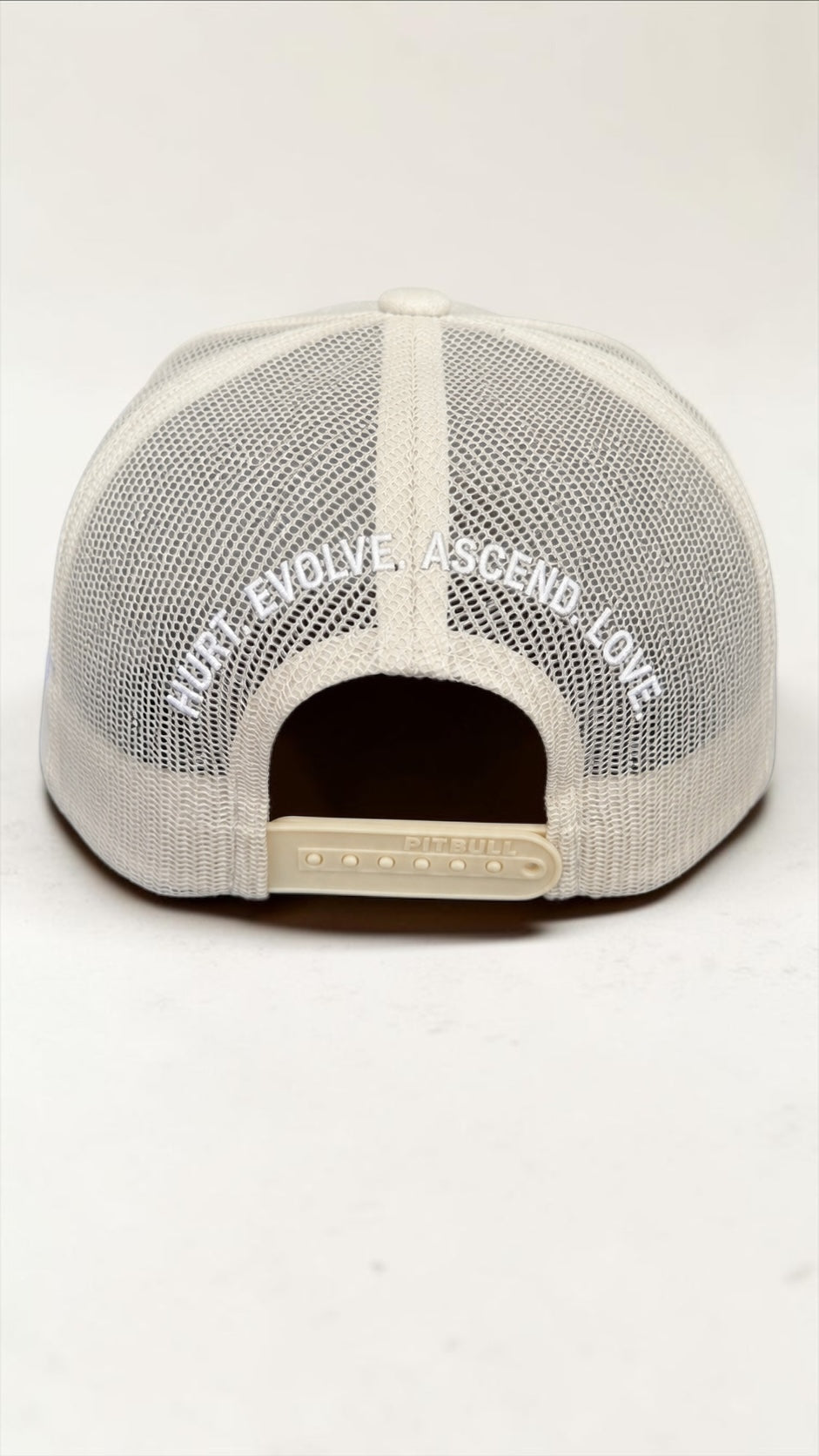 Heal. Evolve. Ascend. Love. Snapback Hat