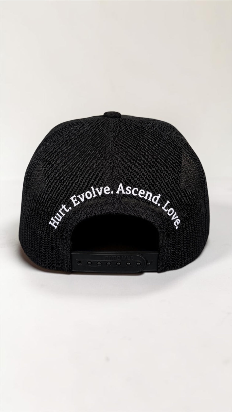 Heal. Evolve. Ascend. Love. Snapback Hat